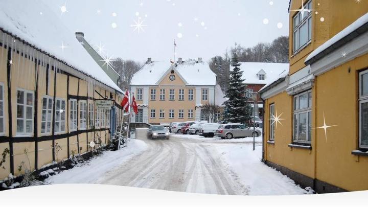 Juletræ på Mariager Trov i sne