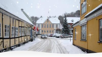 Juletræ på Mariager Trov i sne